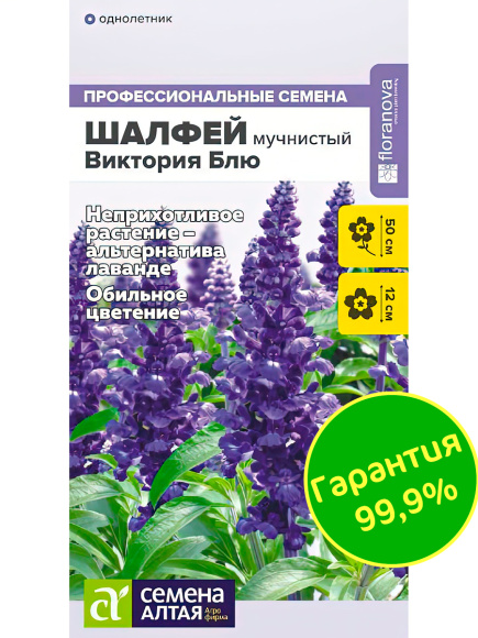 Шалфей Виктория Блю мучнистый [Семена алтая] купить с доставкой