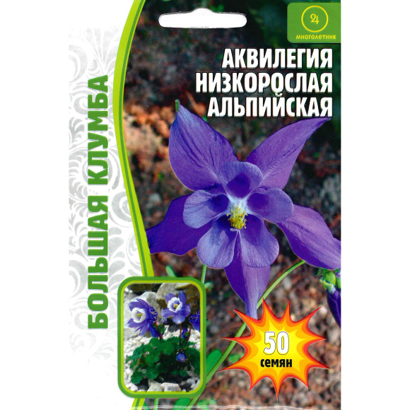 Аквилегия Альпийская Большая клумба [Семена редких растений] купить с доставкой