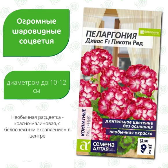 Пеларгония Дивас Пикоти Ред [Семена алтая] купить с доставкой