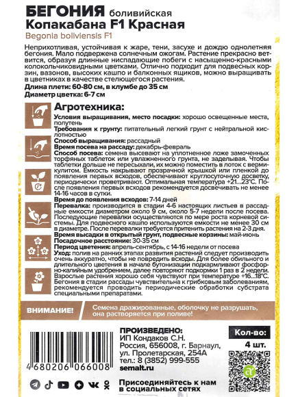 Бегония Копакабана Красная боливийская [Семена алтая] купить с доставкой