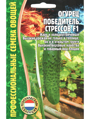 Огурец Победитель Стрессов F1 [Семена редких растений]