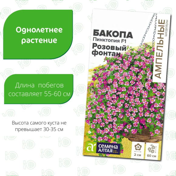Бакопа Пинктопия Розовый фонтан [Семена алтая] купить с доставкой