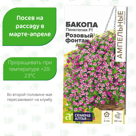 Бакопа Пинктопия Розовый фонтан [Семена алтая] купить с доставкой