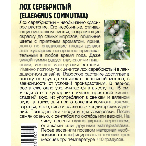 Лох Серебристый Elaeagnus commutata [Семена редких растений] купить с доставкой