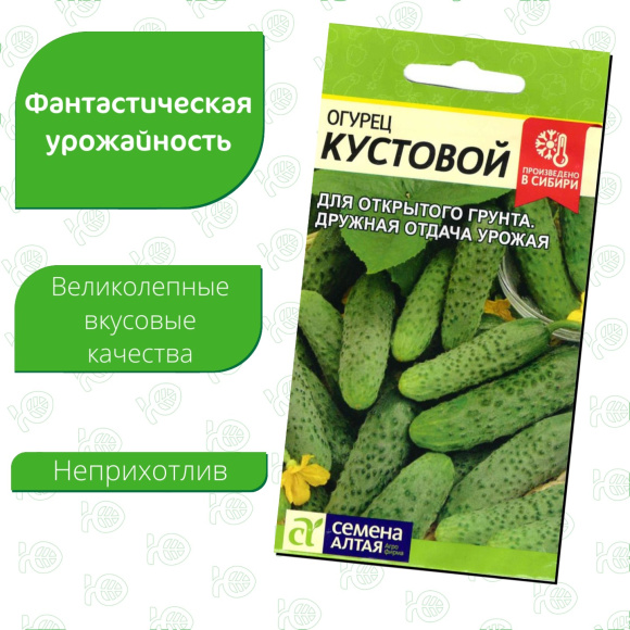 Огурец Кустовой [Семена алтая] купить с доставкой
