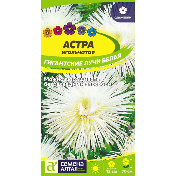 Астра Гигантские лучи Белая [Семена алтая] купить с доставкой