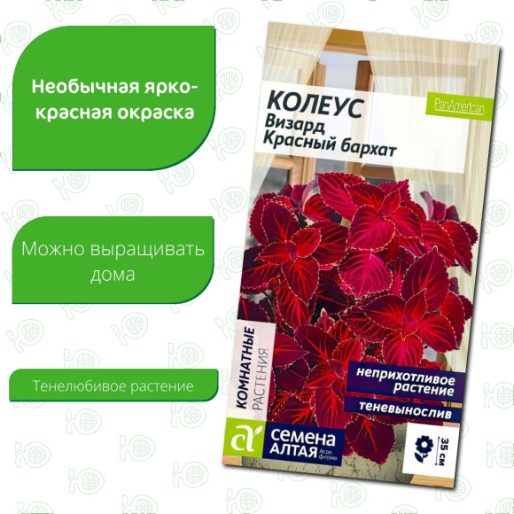 Колеус Визард Красный бархат [Семена алтая] купить с доставкой