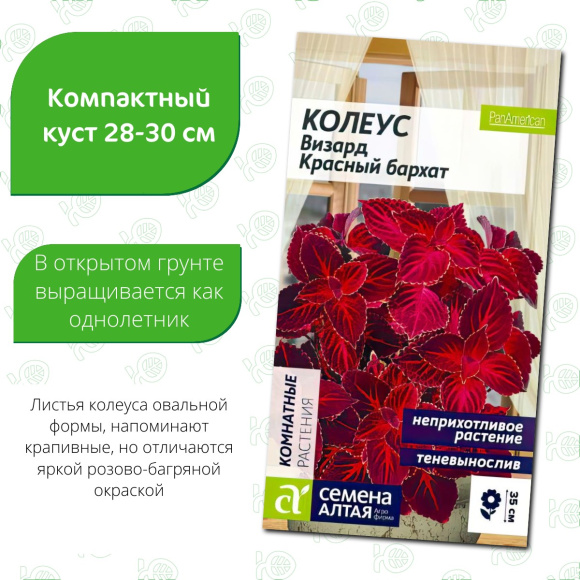 Колеус Визард Красный бархат [Семена алтая] купить с доставкой