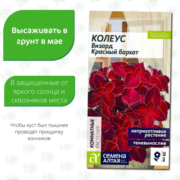 Колеус Визард Красный бархат [Семена алтая] купить с доставкой