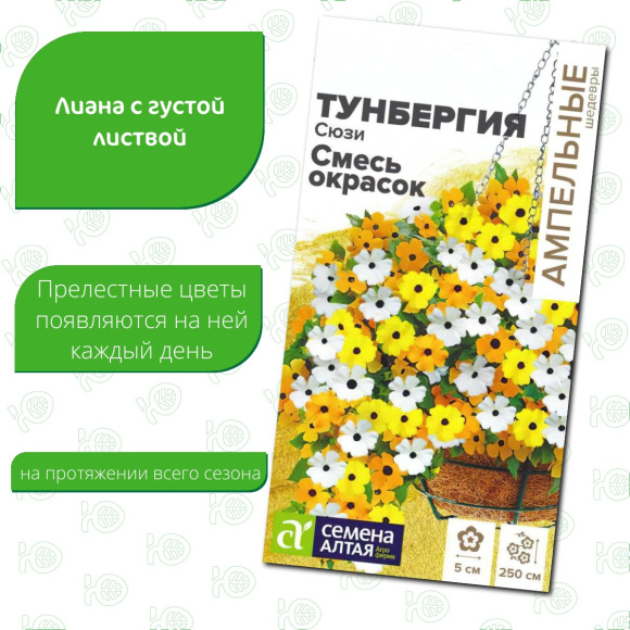 Тунбергия Сюзи Смесь окрасок [Семена алтая] купить с доставкой