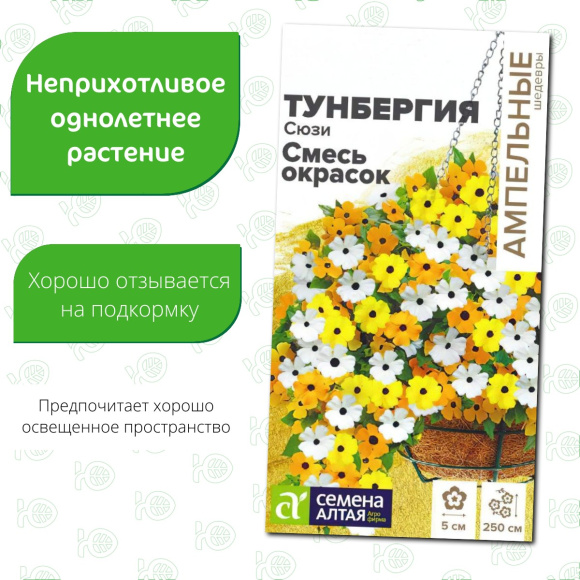 Тунбергия Сюзи Смесь окрасок [Семена алтая] купить с доставкой
