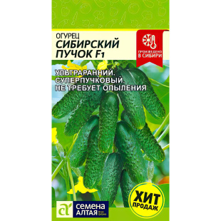 Огурец Сибирский Пучок [Семена алтая]