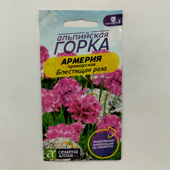 Армерия Блестящая роза приморская [Семена алтая] купить с доставкой