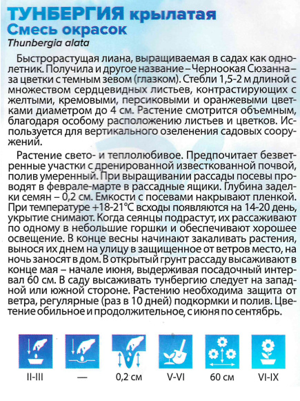 Тунбергия Смесь окрасок крылатая [Семена алтая] купить с доставкой