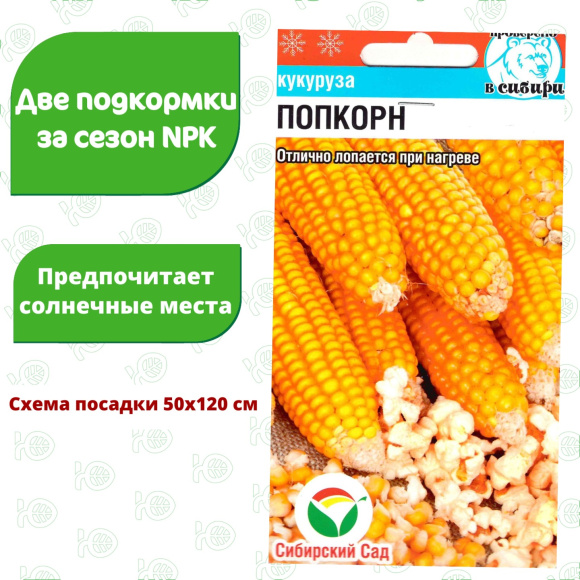 Кукуруза Попкорн [Сибирский сад] купить с доставкой