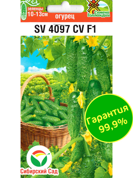 Огурец SV4097CV [Сибирский сад] купить с доставкой