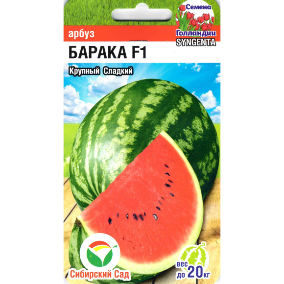 Арбуз Барака [Сибирский сад] купить с доставкой
