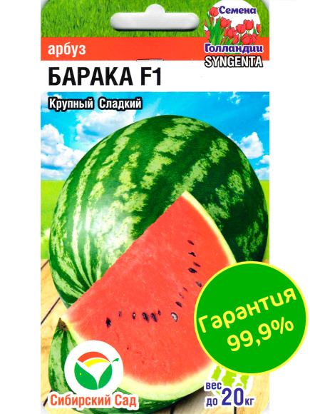 Арбуз Барака [Сибирский сад] купить с доставкой