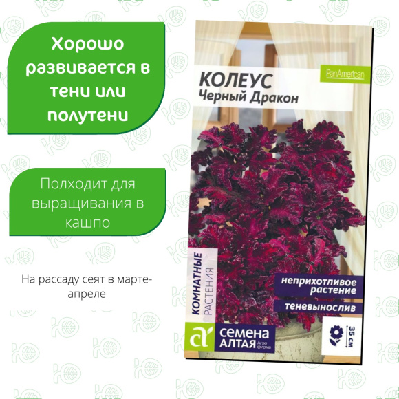 Колеус Черный Дракон [Семена алтая] купить с доставкой