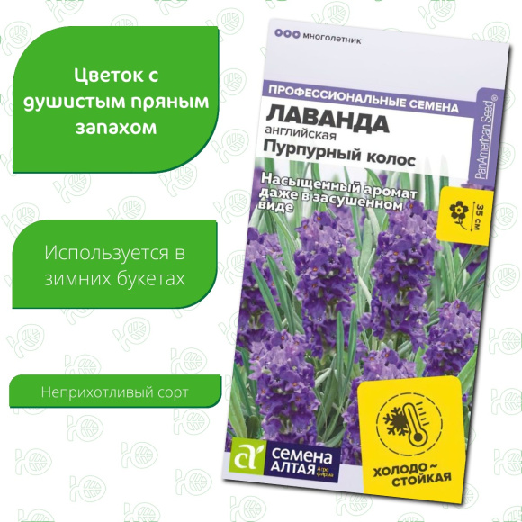 Лаванда Пурпурный колос английская [Семена алтая] купить с доставкой