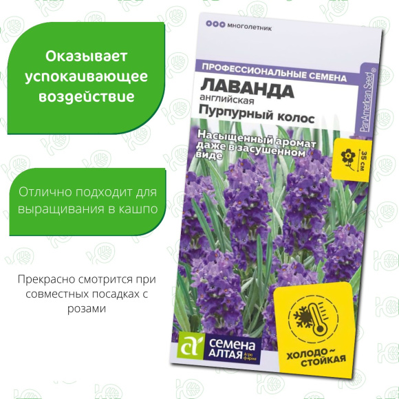 Лаванда Пурпурный колос английская [Семена алтая] купить с доставкой