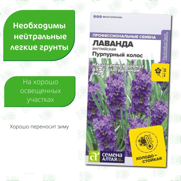 Лаванда Пурпурный колос английская [Семена алтая] купить с доставкой