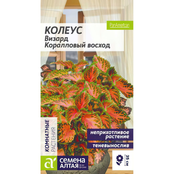 Колеус Визард Коралловый Восход [Семена алтая] купить с доставкой