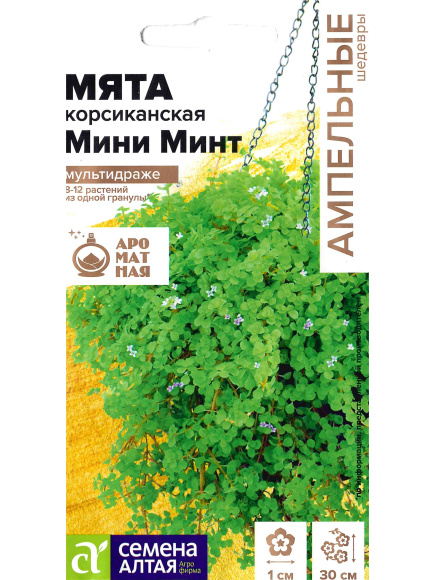 Мята Мини минт декоративная корсиканская [Семена алтая] купить с доставкой