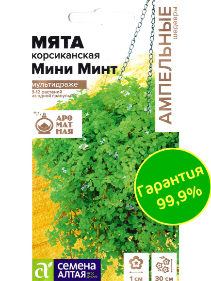 Мята Мини минт декоративная корсиканская [Семена алтая] купить с доставкой