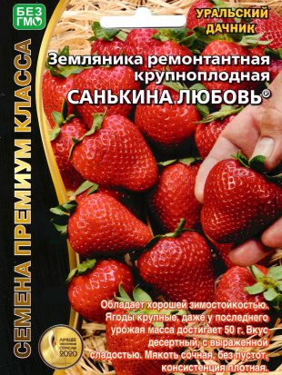 Земляника Санькина Любовь ремонтантная [Уральский дачник]