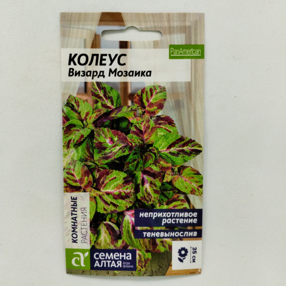 Колеус Визард Мозаика [Семена алтая] купить с доставкой