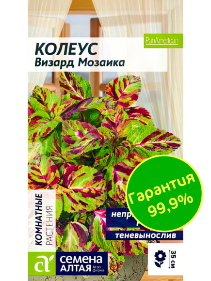 Колеус Визард Мозаика [Семена алтая] купить с доставкой