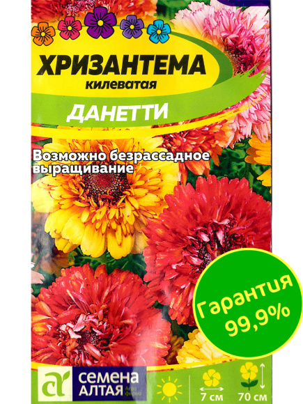 Хризантема Данетти килеватая [Семена алтая] купить с доставкой