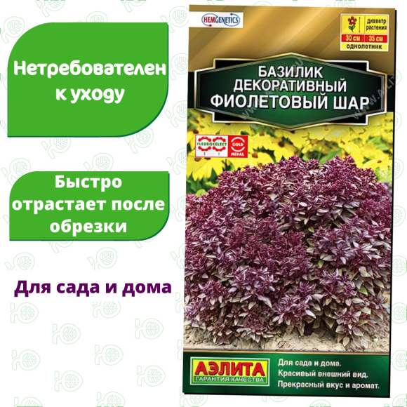 Базилик Фиолетовый шар декоративный [Аэлита] купить с доставкой