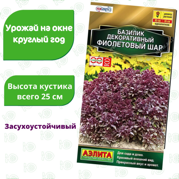 Базилик Фиолетовый шар декоративный [Аэлита] купить с доставкой