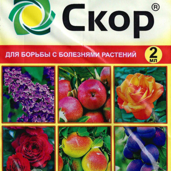 Скор 2 мл [Ваше Хозяйство] купить с доставкой