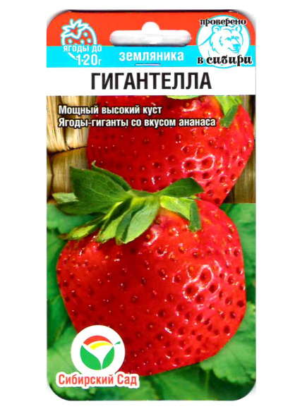 Земляника Гигантелла [Сибирский сад] купить с доставкой