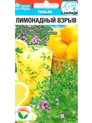 Тимьян Лимонадный взрыв [Сибирский сад]