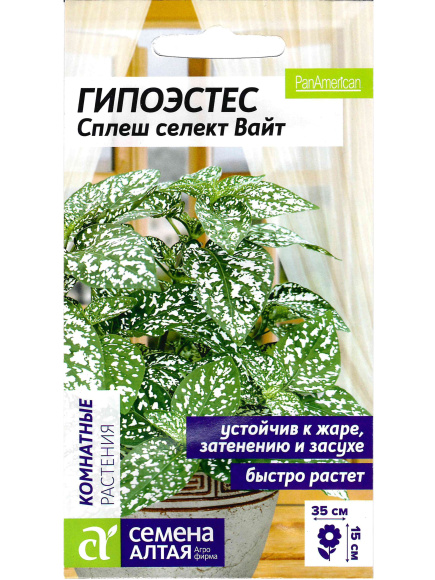 Гипоэстес Сплеш селект Вайт [Семена алтая] купить с доставкой