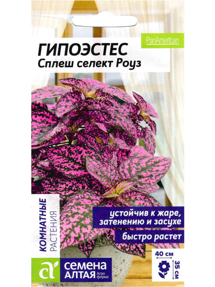 Гипоэстес Сплеш селект Роуз [Семена алтая] купить с доставкой