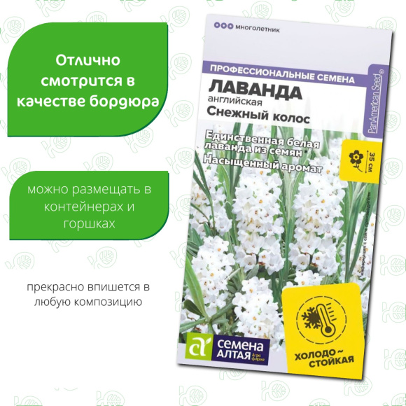 Лаванда Снежный колос английская [Семена алтая] купить с доставкой