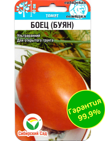 Томат Боец [Сибирский сад] купить с доставкой