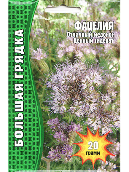 Фацелия 20г. [Семена редких растений] купить с доставкой