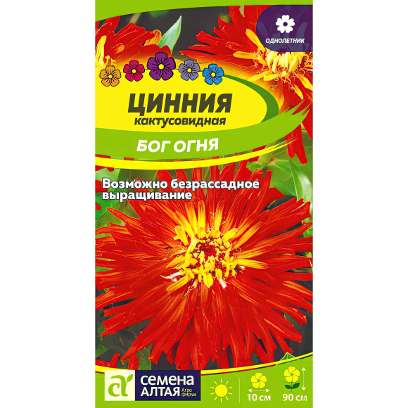 Цинния Бог Огня кактусовидная [Семена алтая] купить с доставкой