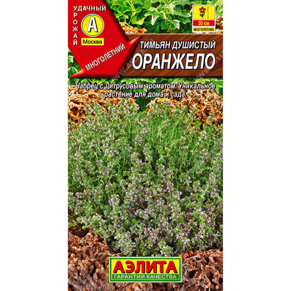 Тимьян Оранжело [Аэлита] купить с доставкой