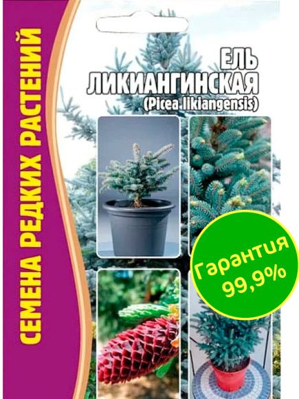 Ель Ликиангинская [Семена редких растений] купить с доставкой