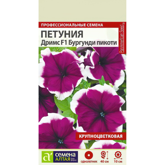Петуния Дримс Бургунди пикоти [Семена алтая] купить с доставкой