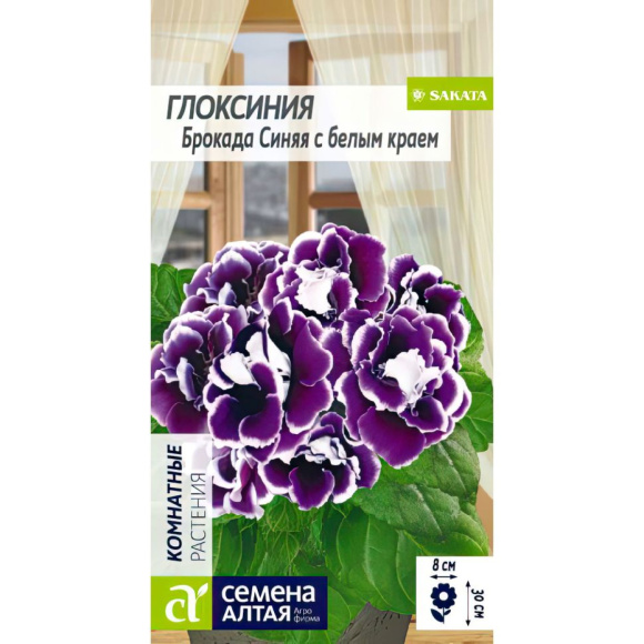 Глоксиния Брокада Синяя с белым краем [Семена алтая] купить с доставкой