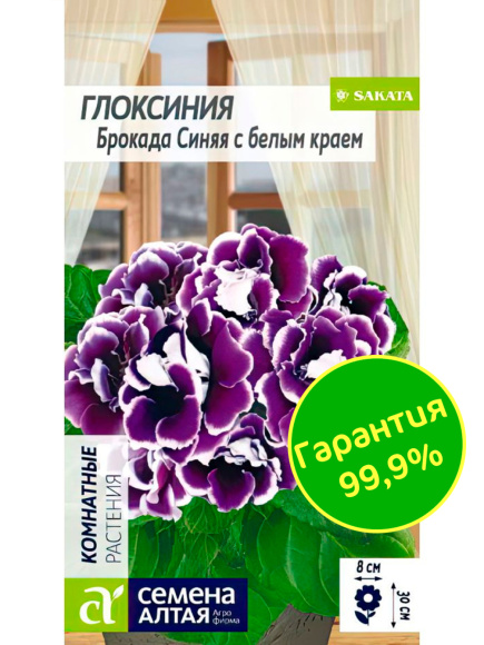 Глоксиния Брокада Синяя с белым краем [Семена алтая] купить с доставкой