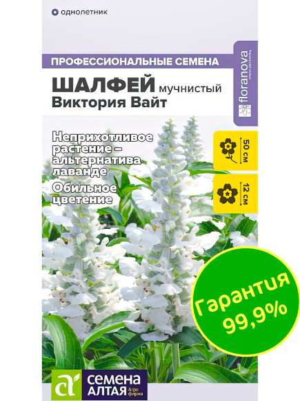 Шалфей Виктория Вайт мучнистый [Семена алтая] купить с доставкой
